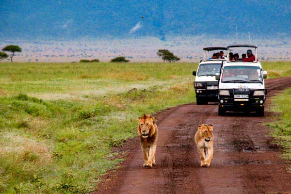 Kenya Tour Package from India