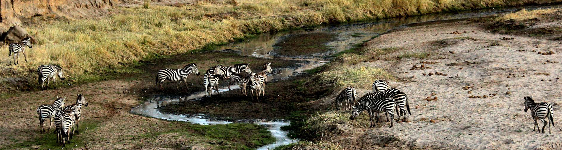 Affordable Holiday Tour Packages to Tanzania