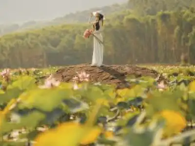 North Vietnam travel guide with top attractions and scenic landscapes