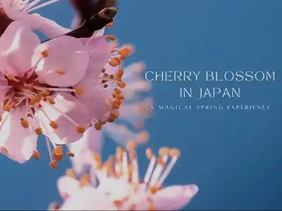  Best Places to See Sakura in Japan