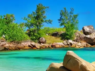 Experience the Ultimate Escape with Our Seychelles Tour Packages