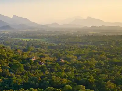 New Online Visa System Implemented in Sri Lanka