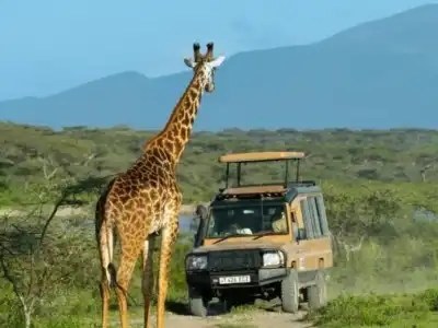 Tanzania Your Safari Adventure Awaits