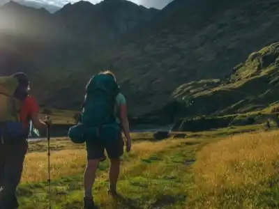 Things to Do in New Zealand