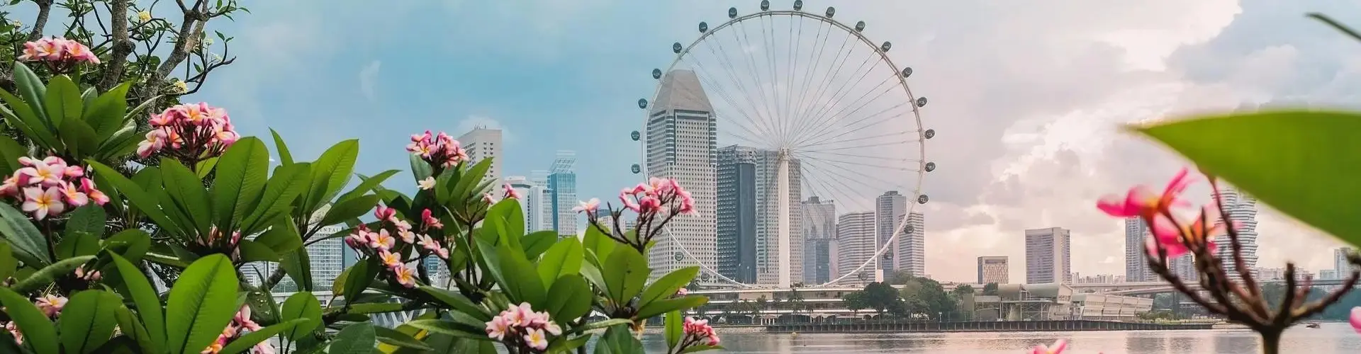 Urban nature and theme parks in Singapore showcasing lush greenery and attractions