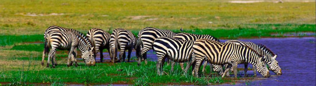 Amboseli National Park
