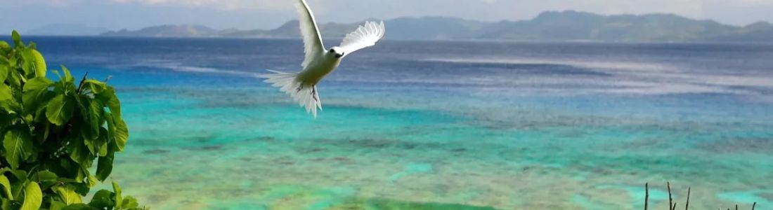 Aride Island