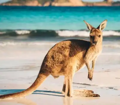 Australia Tour Packages