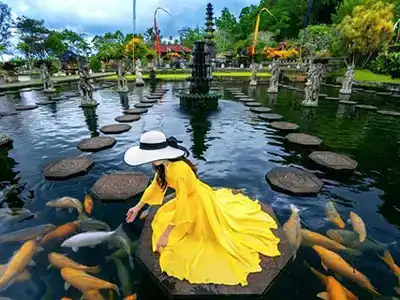 Bali Tour Package - Ubud, Uluwatu, Seminyak