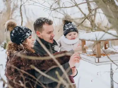 luxury winter holiday in finland for indian tourists