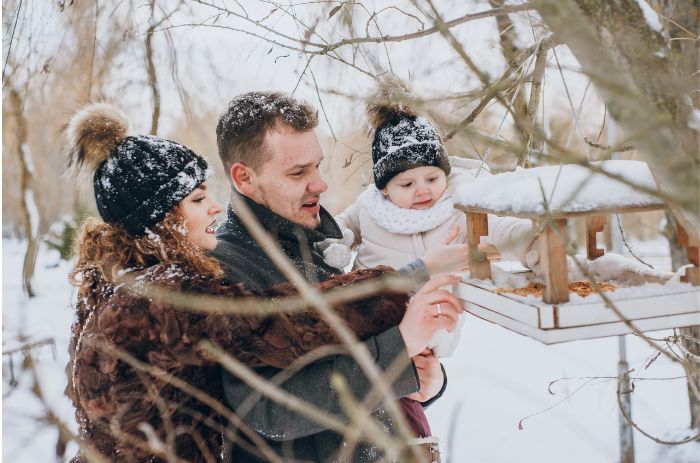 luxury winter holiday in finland for indian tourists