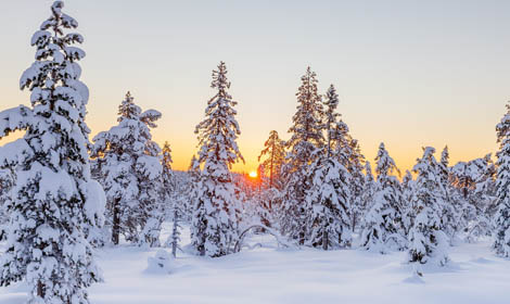 Best time to visit in finland