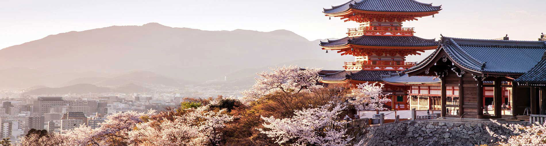 Japan Holiday Package - 7 Nights