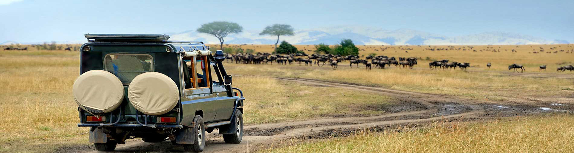 Kenya Safari Tour Package from India