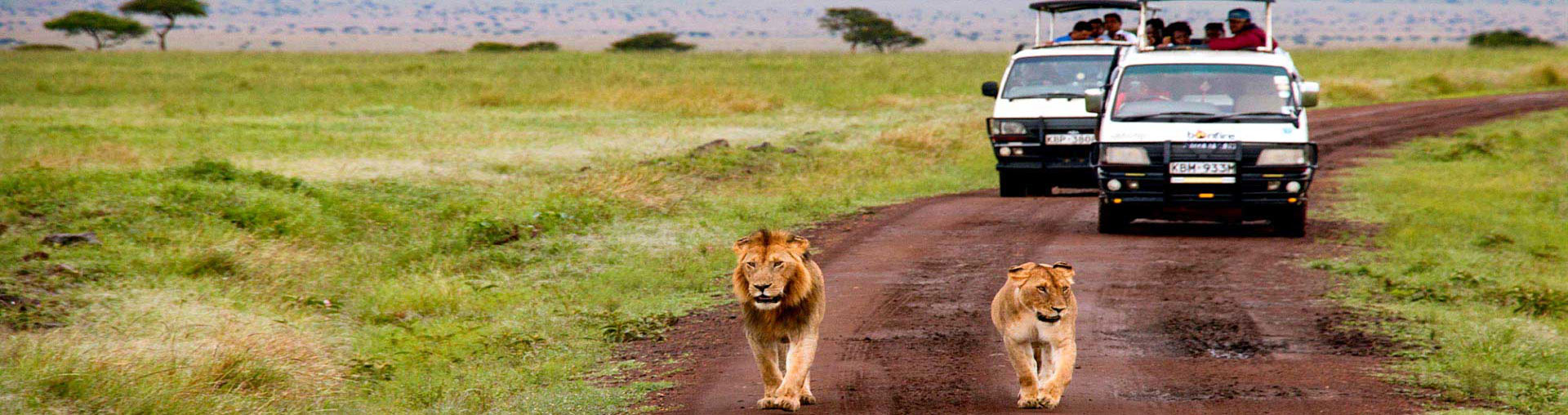 Kenya Tour Package from India