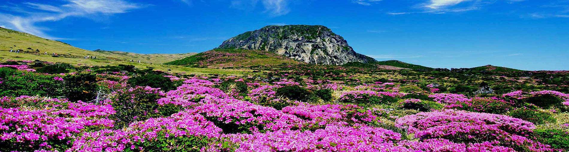 Jeju Island, Korea Tour Package From India