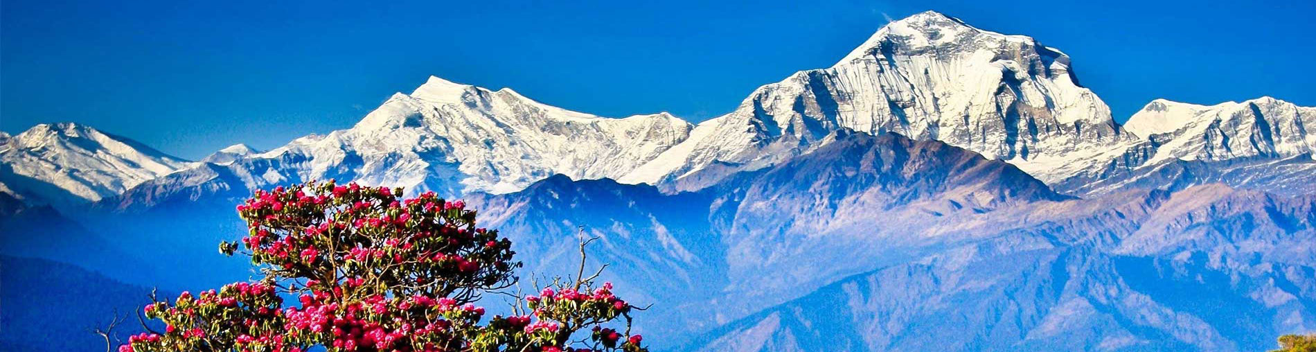 Nepal Tour Package From India