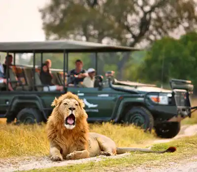 Adventure Tour Packages Botswana From India