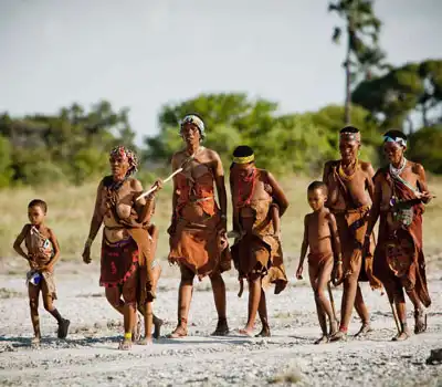 Family Tour Packages Botswana From India