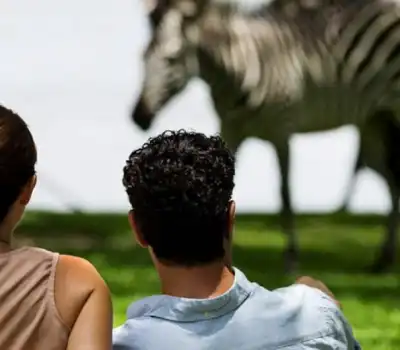 Homeymoon Tour Packages Botswana From India