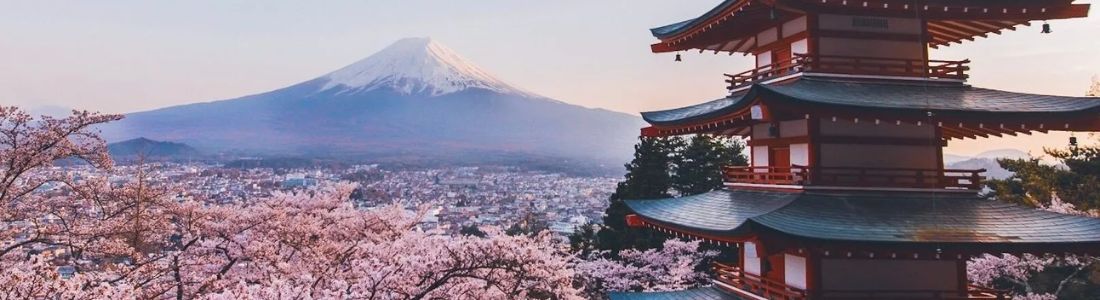 Climb Mount Fuji