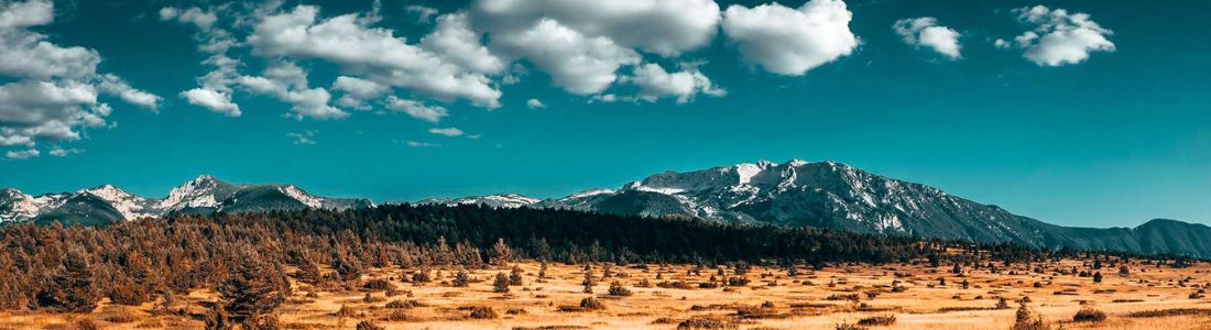 Enjoy the Serenity of the Blidinje Nature Park