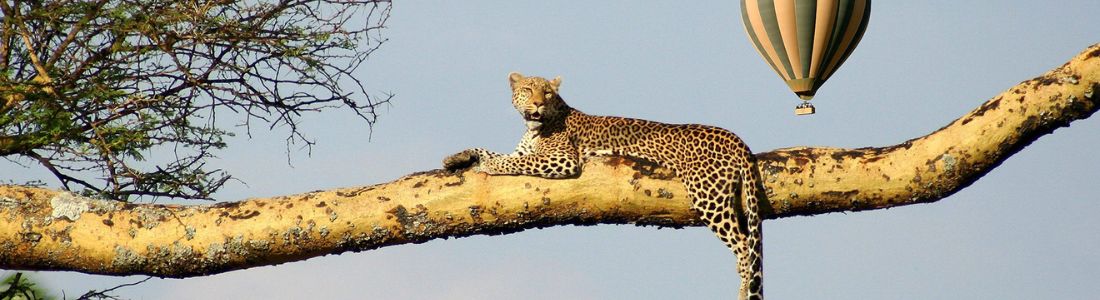 Explore Ngorongoro Crater