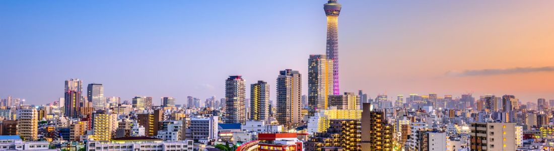 Explore Tokyo Vibrant Districts