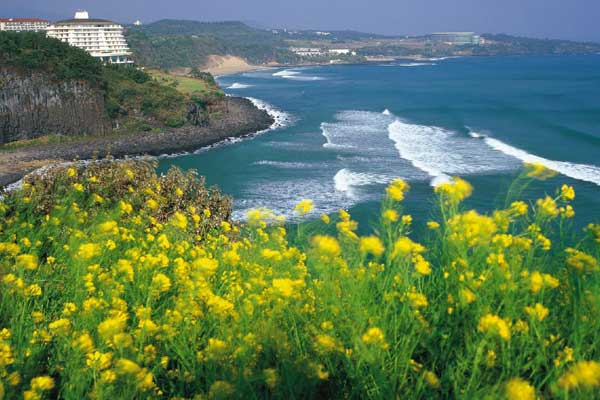 Jeju Island Tour Package