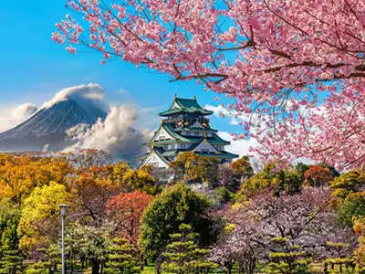 Japan - Cherry Blossom Tour