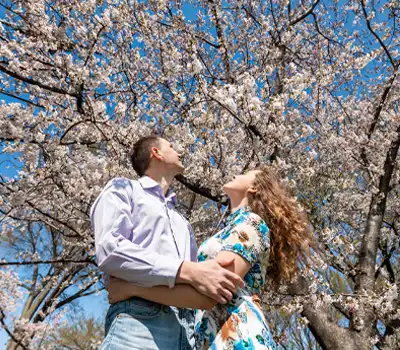 Homeymoon Tour Packages Japan From India