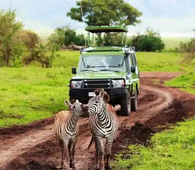 Adventure Tour Packages Kenya From India