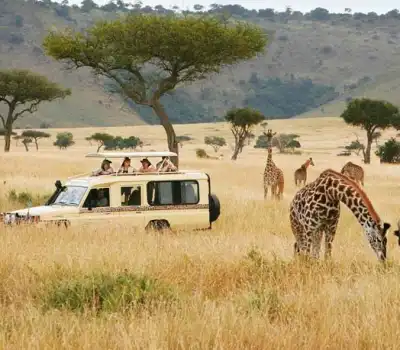 Budget Tour Packages Kenya From India