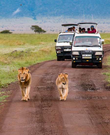 Affordable Holiday Tour Packages to Kenya