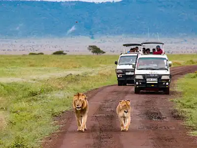 Kenya Holiday Travel