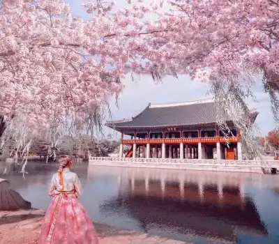 Budget Tour Packages Korea From India