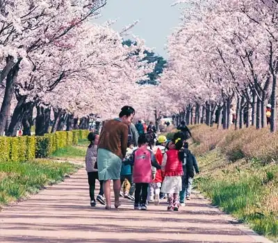 Family Tour Packages Korea From India