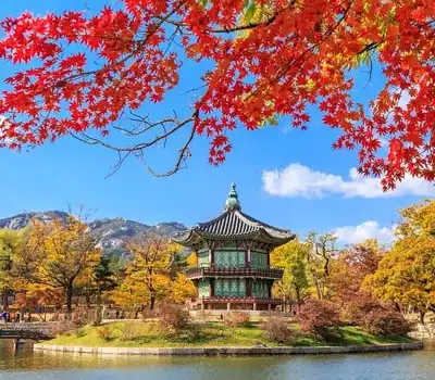 Korea Tour Packages from India