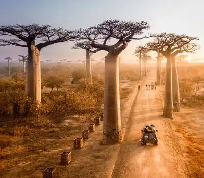 Madagascar Tour Packages from India