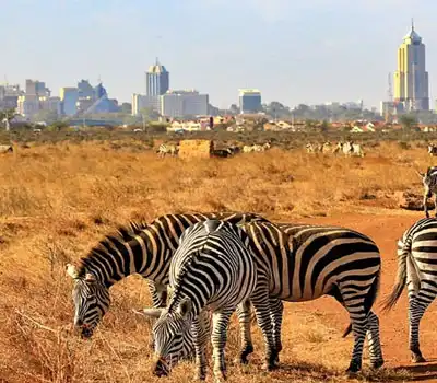 Kenya - Nairobi