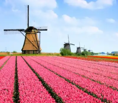 Budget Tour Packages Netherlands From India