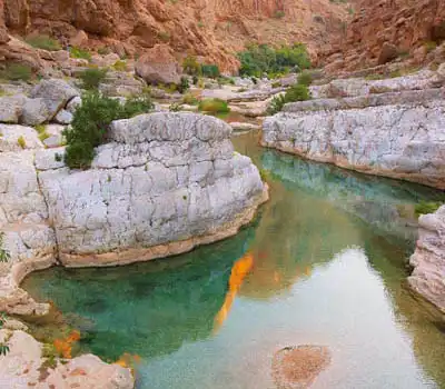 Oman Tour Packages from India