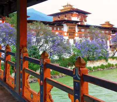 Punakha - Bhutan Holiday Trips