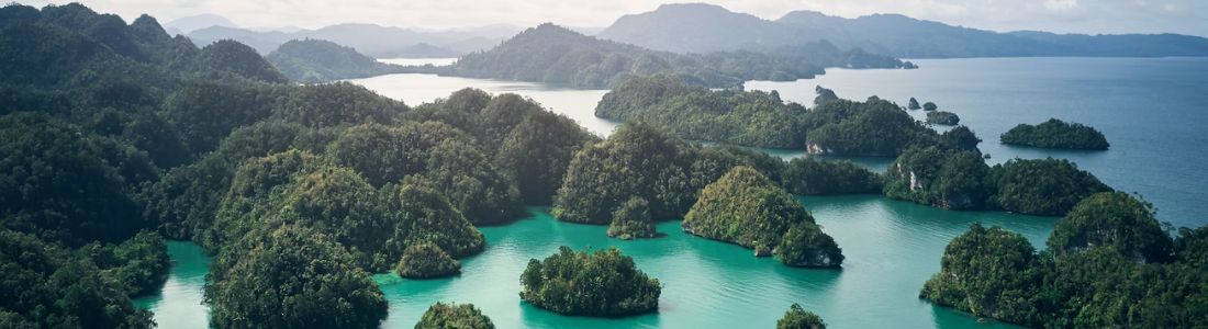 Raja Ampat