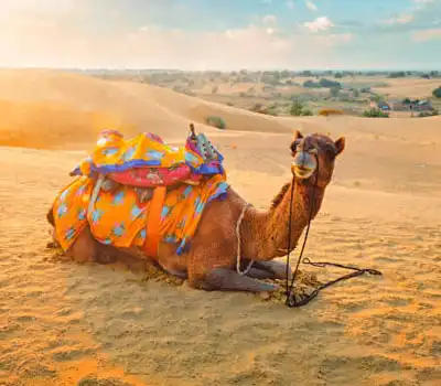 Rajasthan - India Holiday Trips