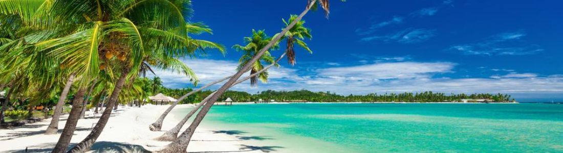 Relax on Fiji Pristine Beaches