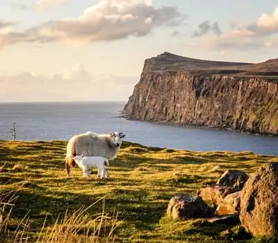Budget Tour Packages Scotland From India