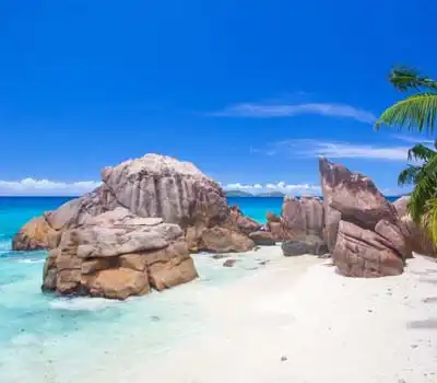 Visit Seychelles from India via Trending Tour Packages