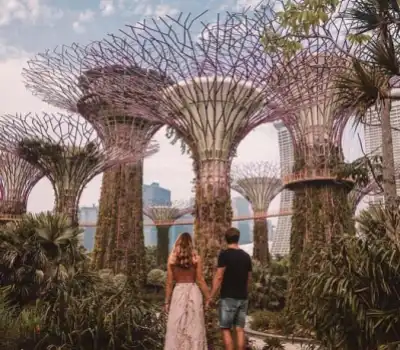 Singapore Honeymoon Tour Packages from India