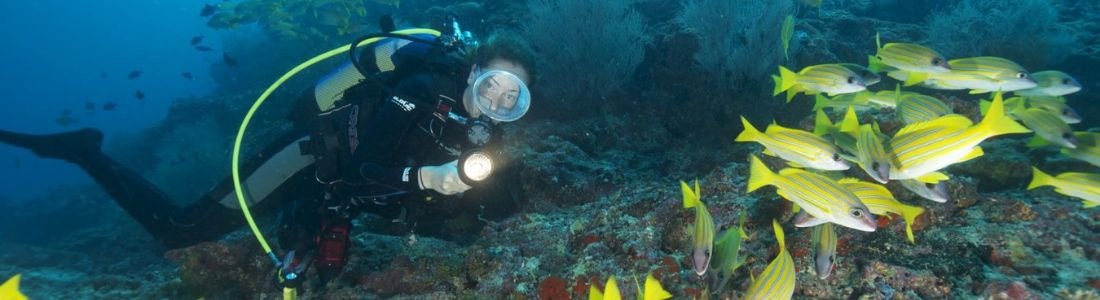 Snorkeling and Diving in Coral Coast